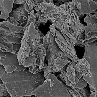 99% Purity Fluorographite CAS No. 51311-17-2 For EINECS No. 234-345-5